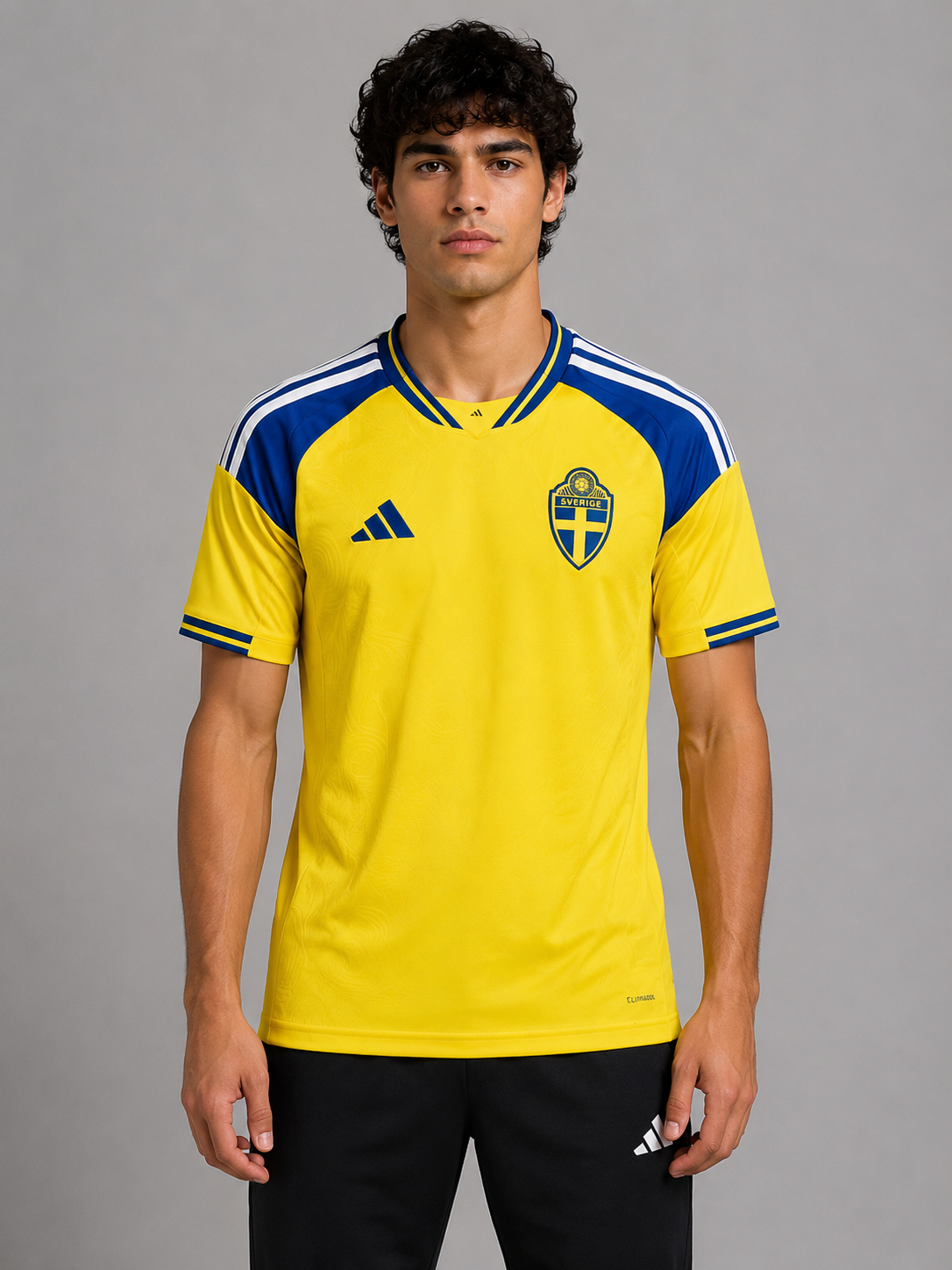 26-27 Sweden home