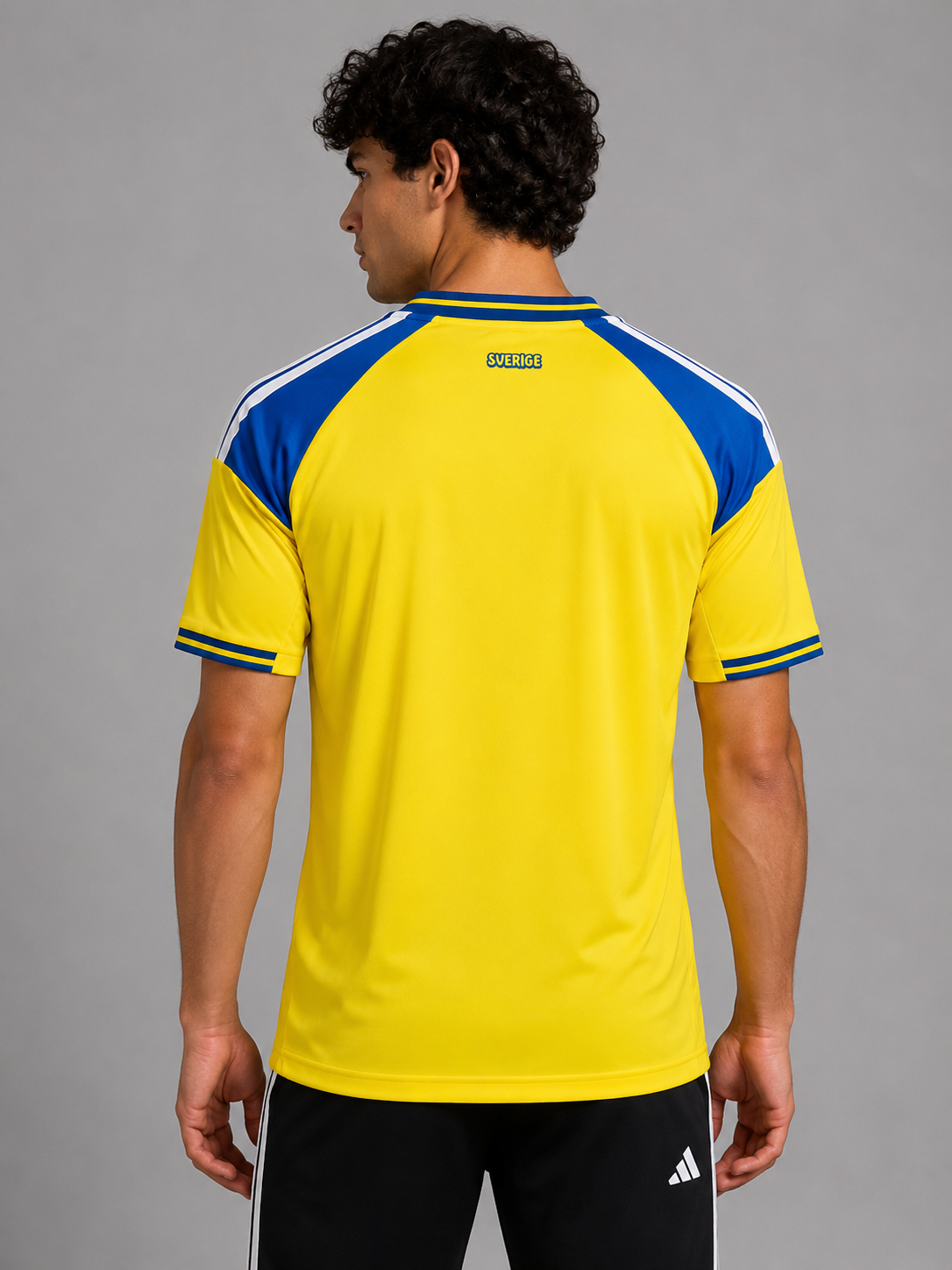 26-27 Sweden home