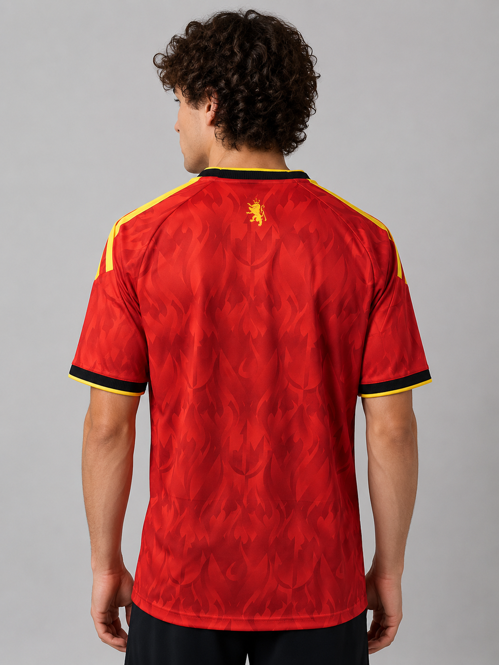 Belgium Home