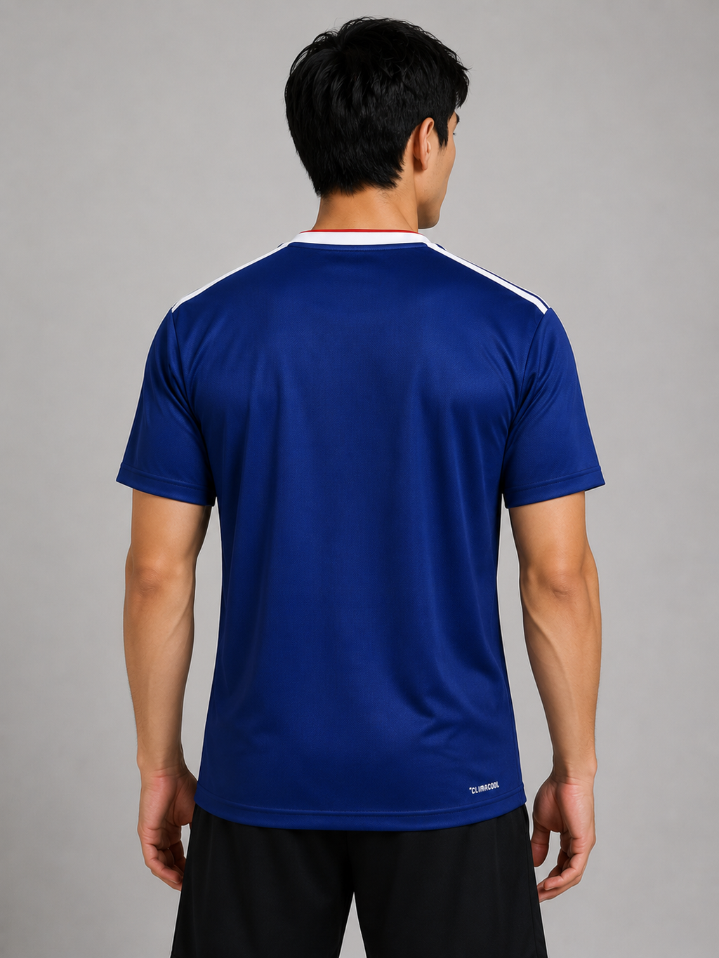 26-27 Japan Home