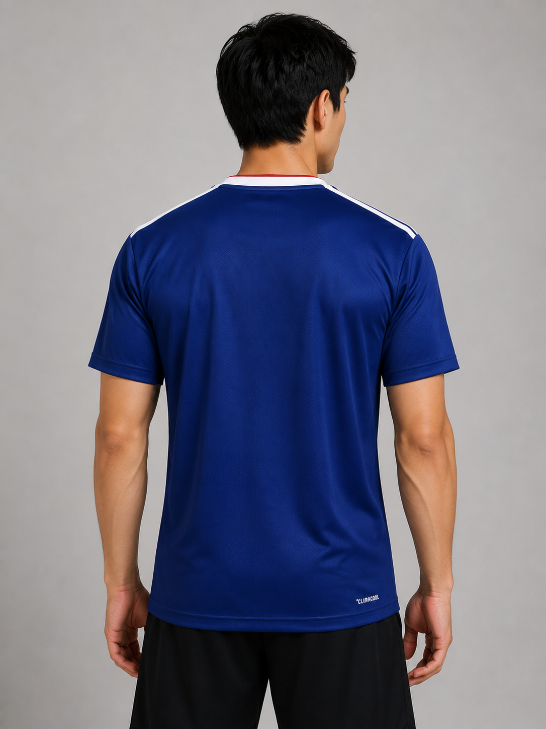 26-27 Japan Home