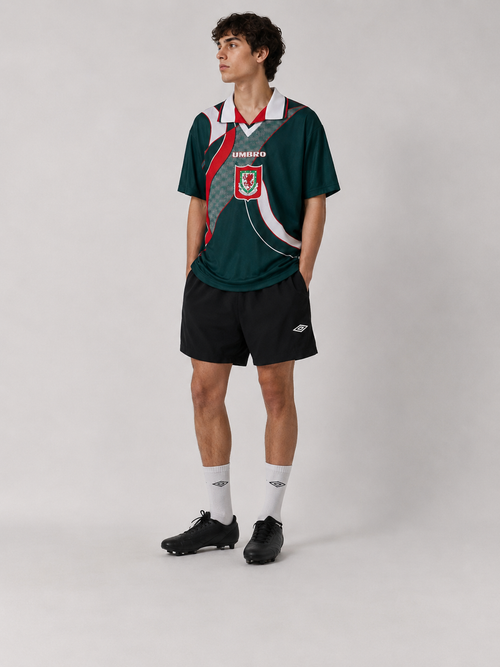 1995-96 Wales Away